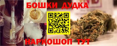 крисы Лесосибирск