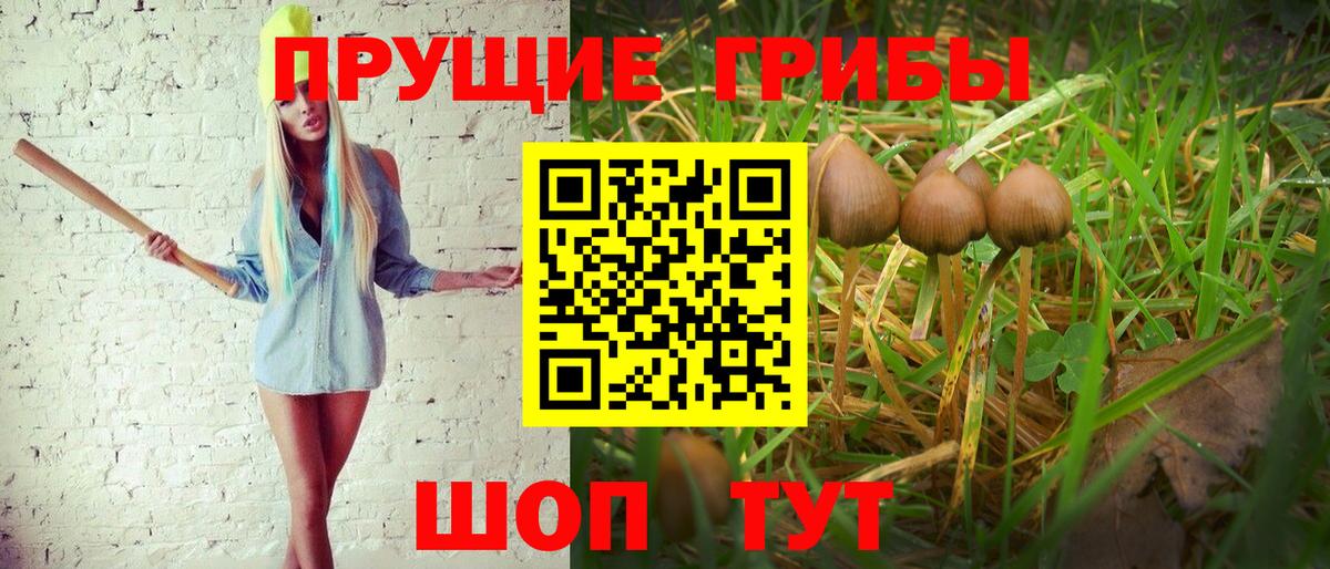 Галлюциногенные грибы Cubensis  Вход с VPN  Галлюциногенные грибы мухоморы  Добрянка 
