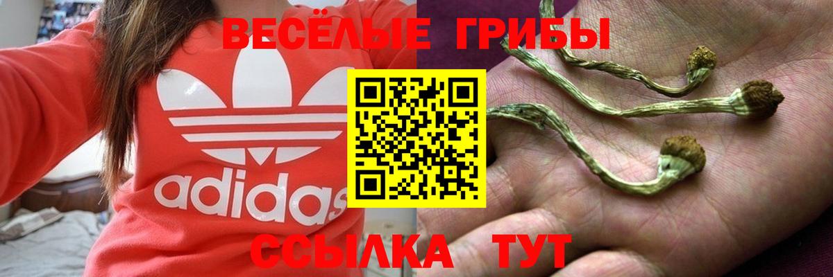 Псилоцибиновые грибы GOLDEN TEACHER Добрянка